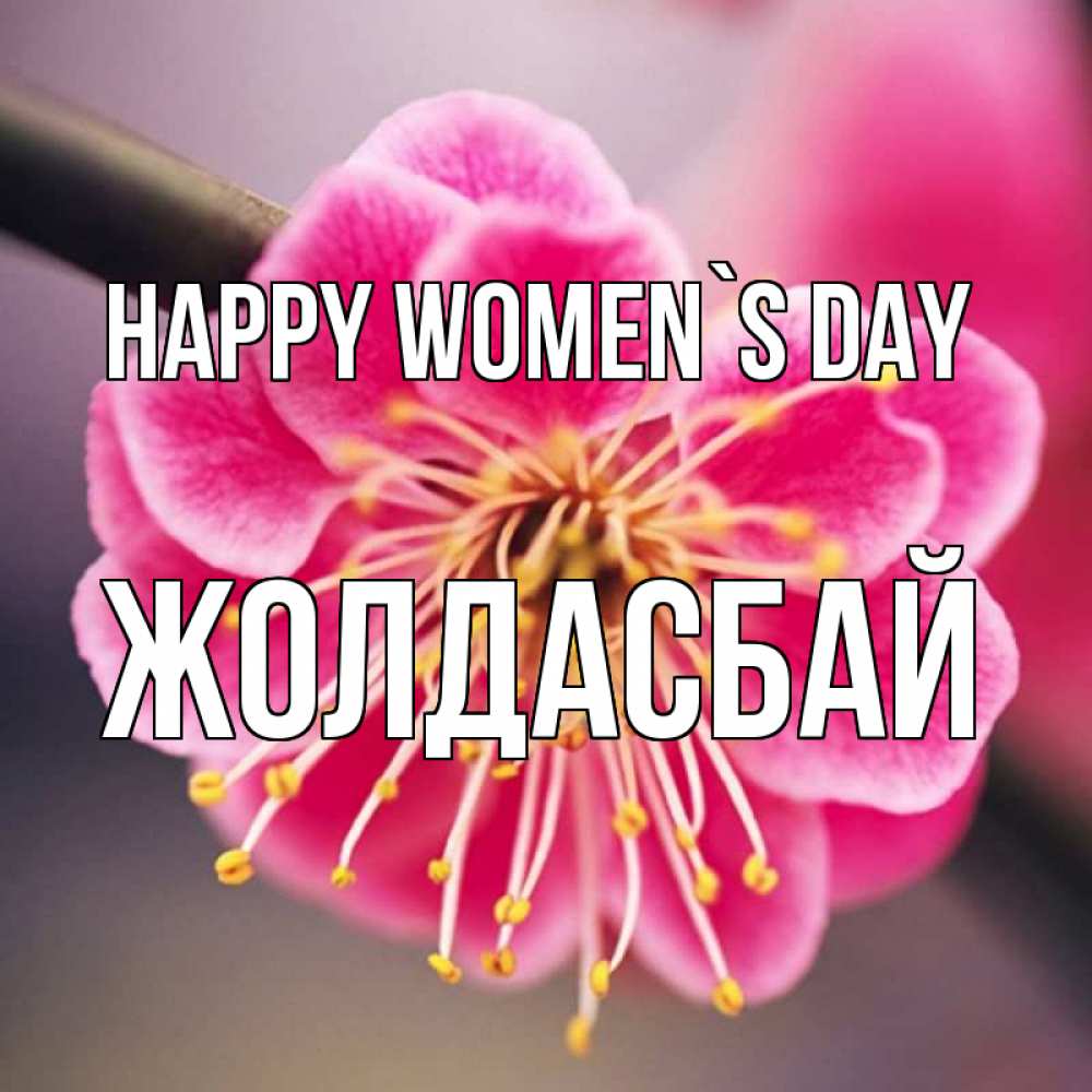 Greetings card с именем, Жолдасбай happy women`s day цветы Greetings with text for free download 
